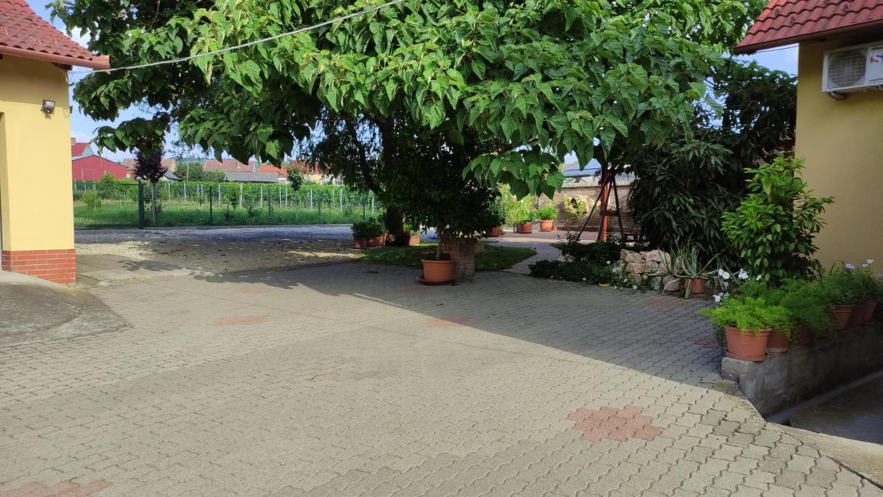 Eckhardt Vendégház Villány Esterno foto